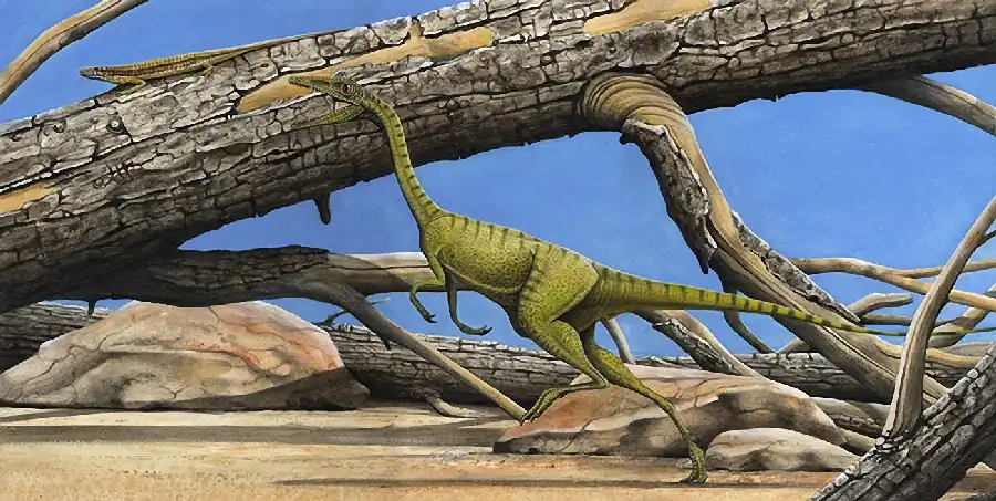 compsognathus_arturo_de_miguel_a2e0.jpg