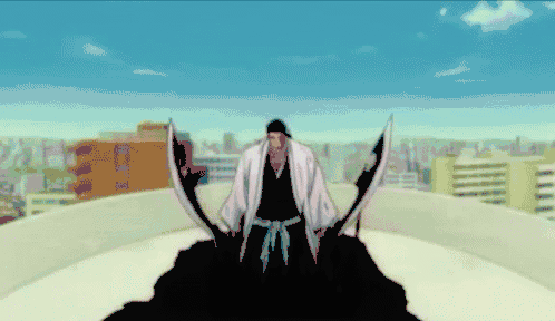 shunsui-bleach.gif